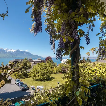 Swiss Historic Masson 3*